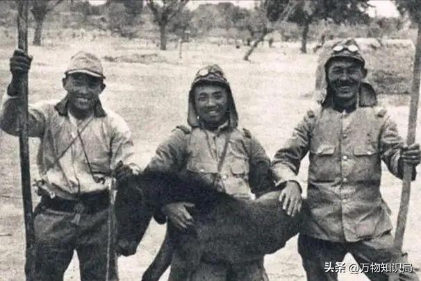 1940年，日军禁止公开的照片，一名慰安妇女孩表情呆滞，命运难测