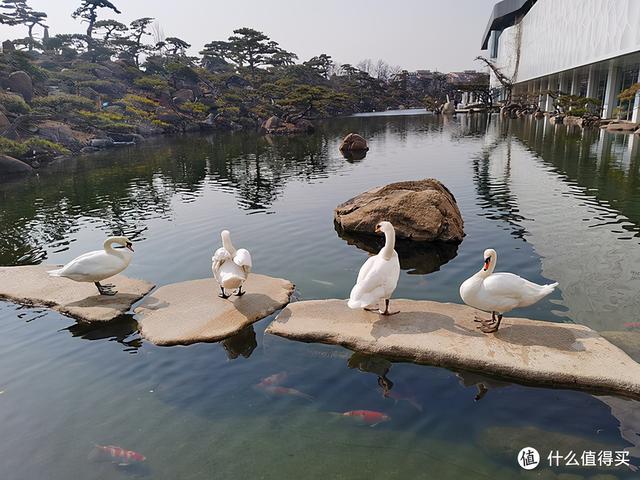 想去白嫖却被反薅的北京网红景点---罗红摄影艺术馆