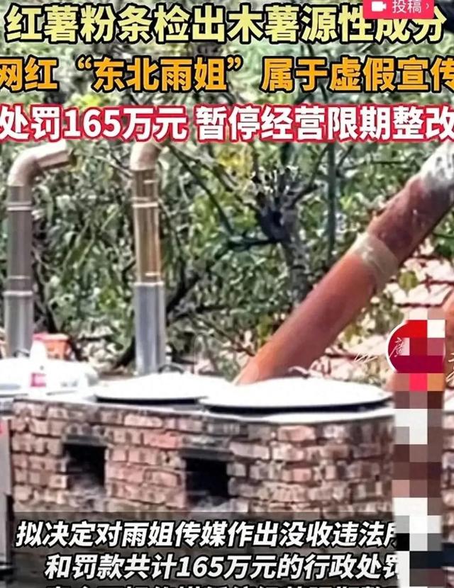 东北雨姐复出首秀：满嘴跑火车？还是浴火重生？网友：且看且珍惜