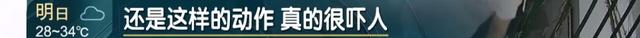 大半夜，上海一小区惊现神秘男子，行迹太诡异！警方介入，真相绝对猜不到……